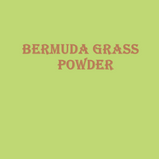 Bermuda Grass Powder- 50 G